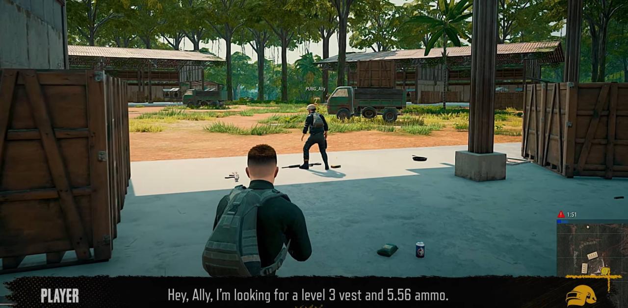 PUBG Ally