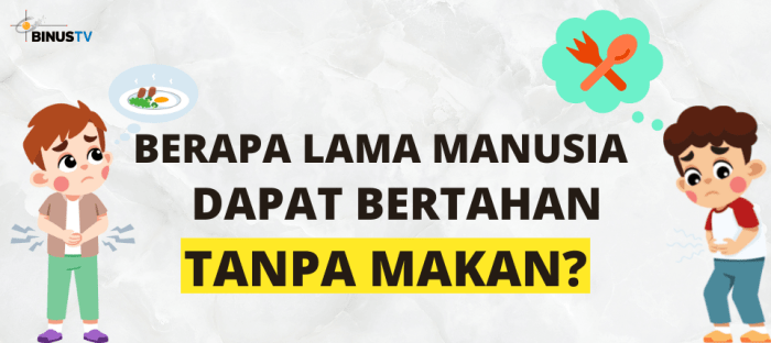 Apakah Kita Bisa Hidup Tanpa Internet? Eksperimen 7 Hari Tanpa Koneksi